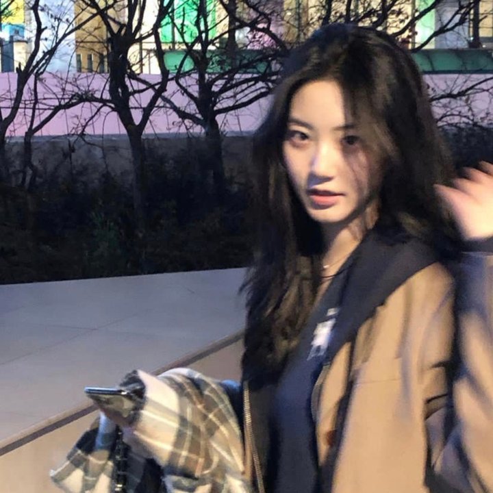 鼹鼠之歌完结篇